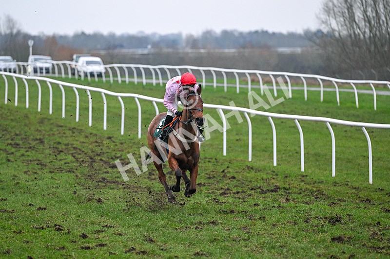 090226-Race 6-Comanche Magic-2237 - Race 6