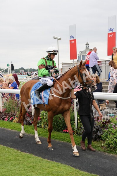 yr24072021r5-28 - Race 5 4.25pm Sky Bet Best Odds Guaranteed Stakes