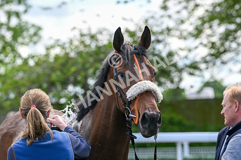 290524-Race 2-Powdering-5757 - Race 2