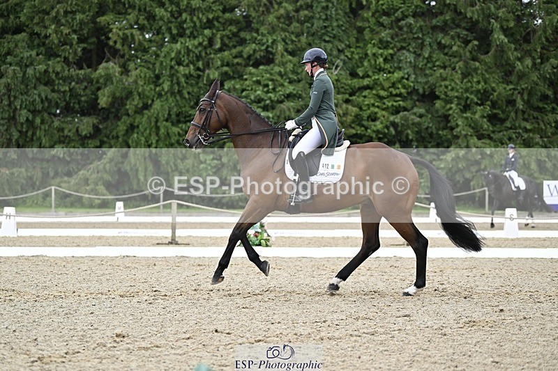 000101-212346-04293 - 412-WELLFIELDS_LINCOLN-Susie_Berry