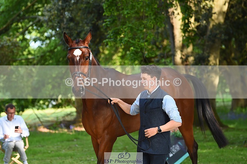 230524-172136-01463 - 175-MONBEG_EQUITY-Tom_McEwen-WEDTrotUp+DR