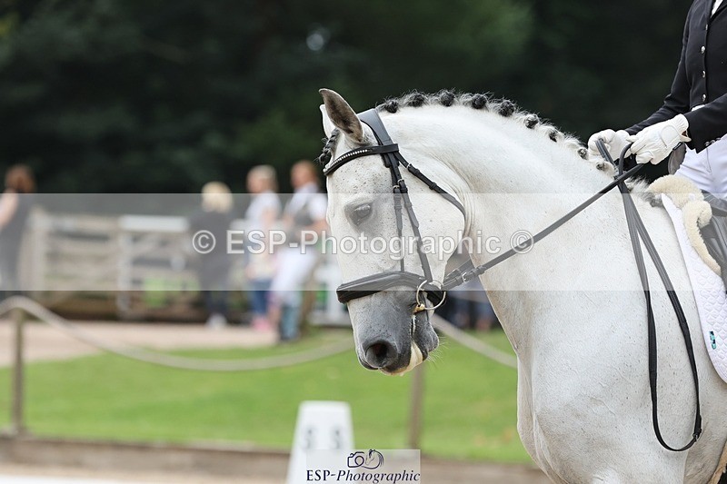 240810-113248-02904 - 140-Ali.Dane-Lidador