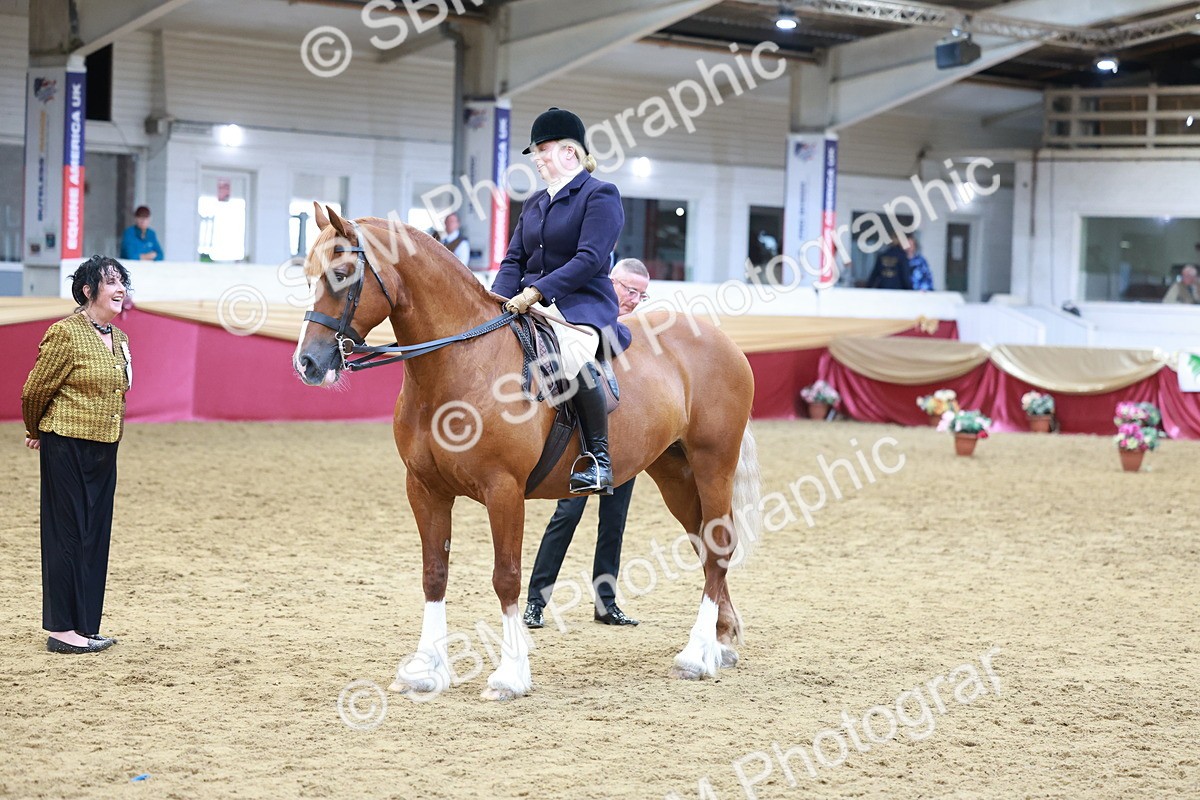 SBM_18616 - Class 952 - M&M Ridden Supreme Final