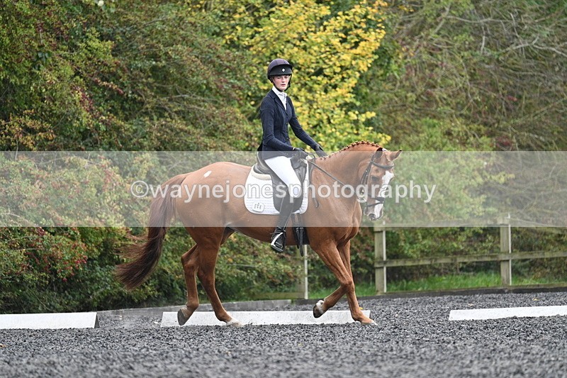 WJ7_6631 - Time 14:49 to 15:14