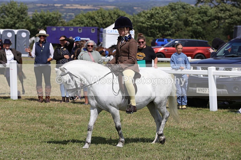 1X9A5363 - Class 37: NPS M&M First Ridden