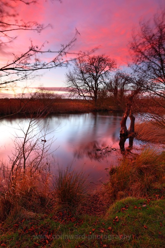 Croxdale near Durham - County Durham