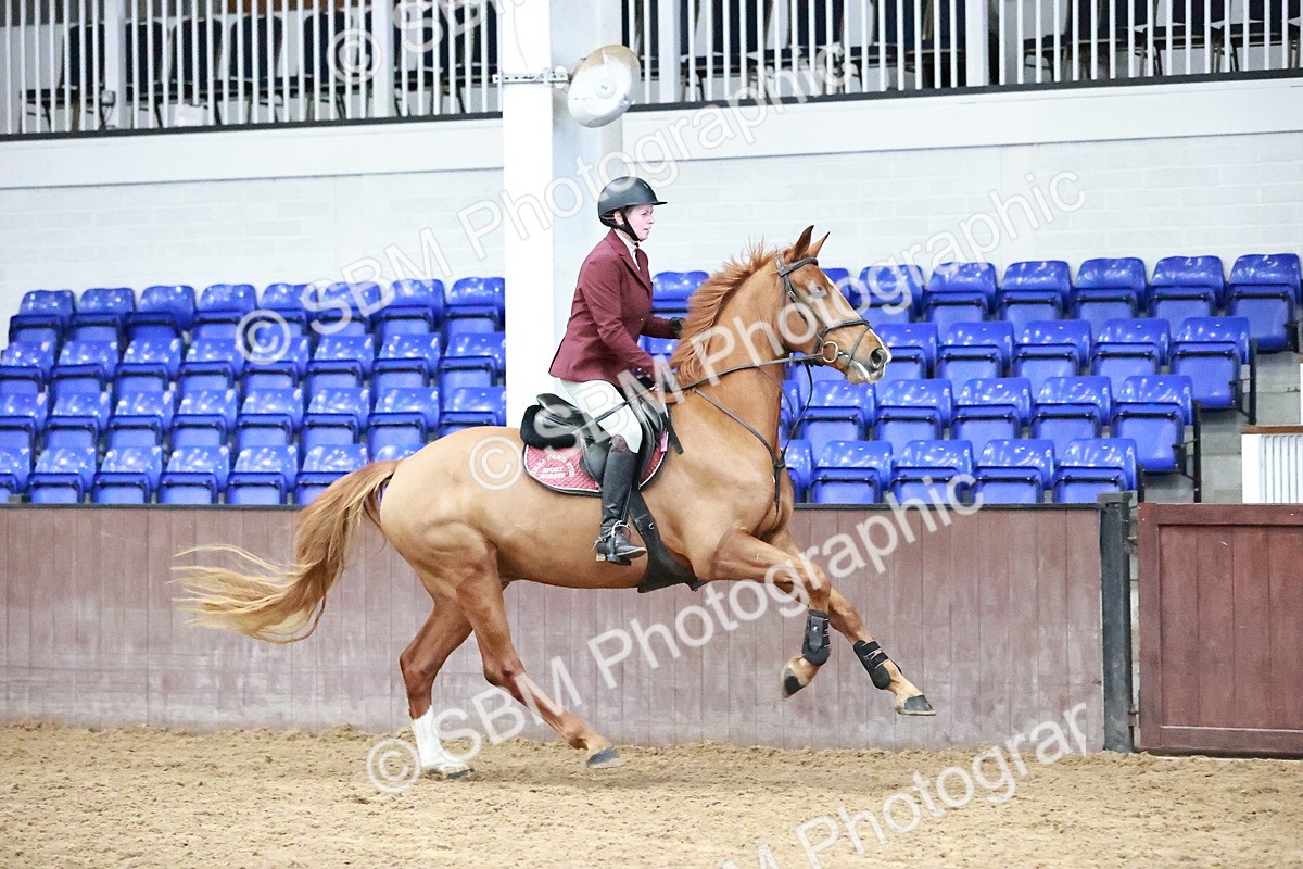 SBM_000601 - Class 2 - Senior British Novice - 90cm