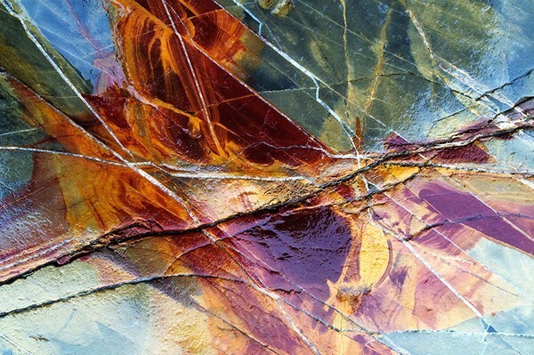  - Detail in Landscape