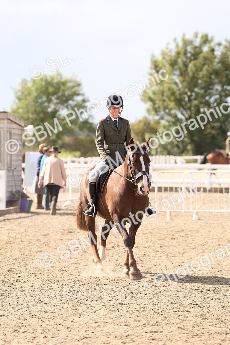 SBM_07354 - Class 58b -  Style & Performance - 70cm (20+)