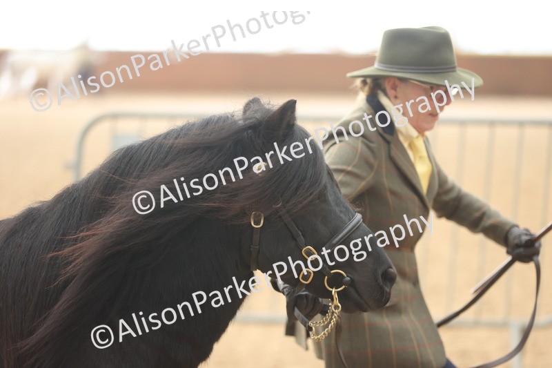 20251109-0049 - Class 3 - 2 and 3 Year Old