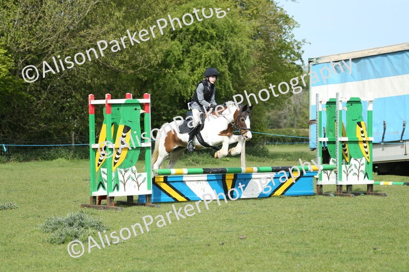 20260426-1555 - Class 14 - Novice 60cm
