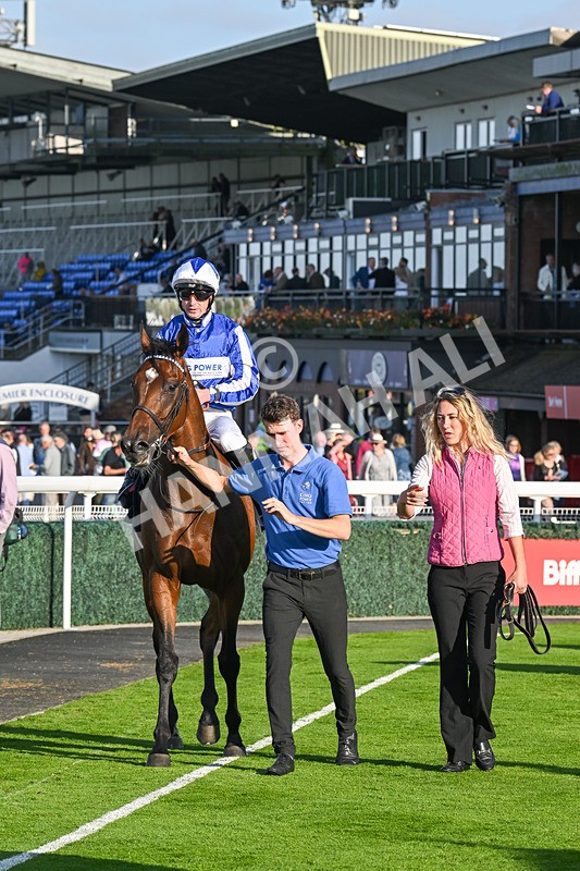 180924-Race 7-Fox Avatar-5253 - Race 7