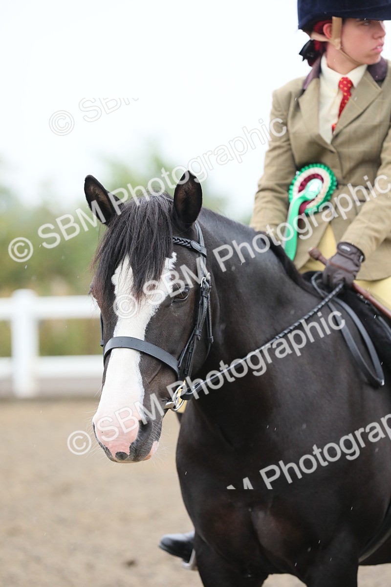 SBM_19976 - Class 801 - Ridden Veteran