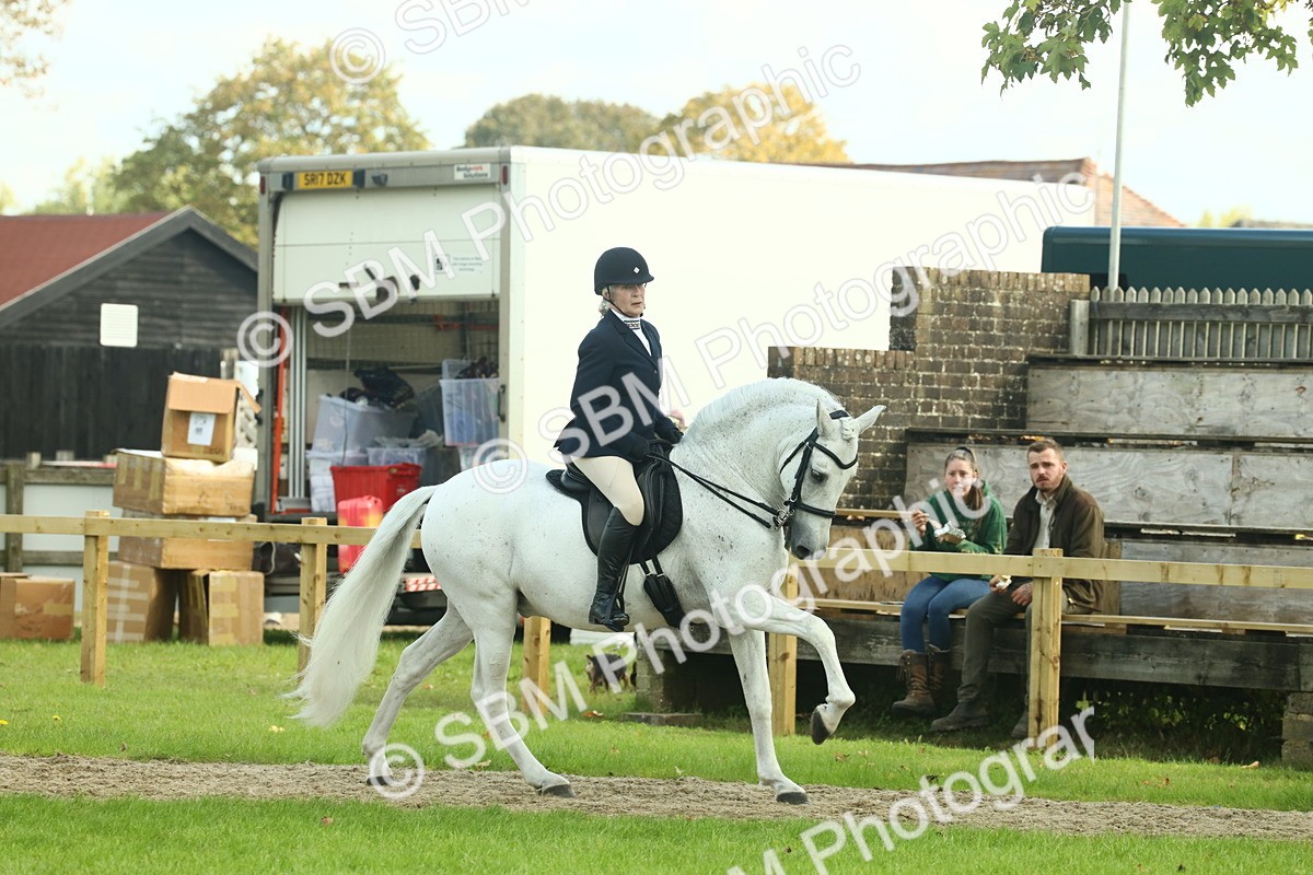 SBM_62448 - S62 - Foreign Breeds Ridden