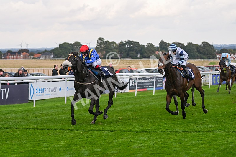 240924-Race 4-Tees Spirit-6250 - Race 4