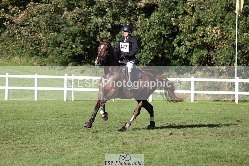 231022-145752-29541 - 447-STALLONE-Andrew.Winterton-TrotUp+SJ