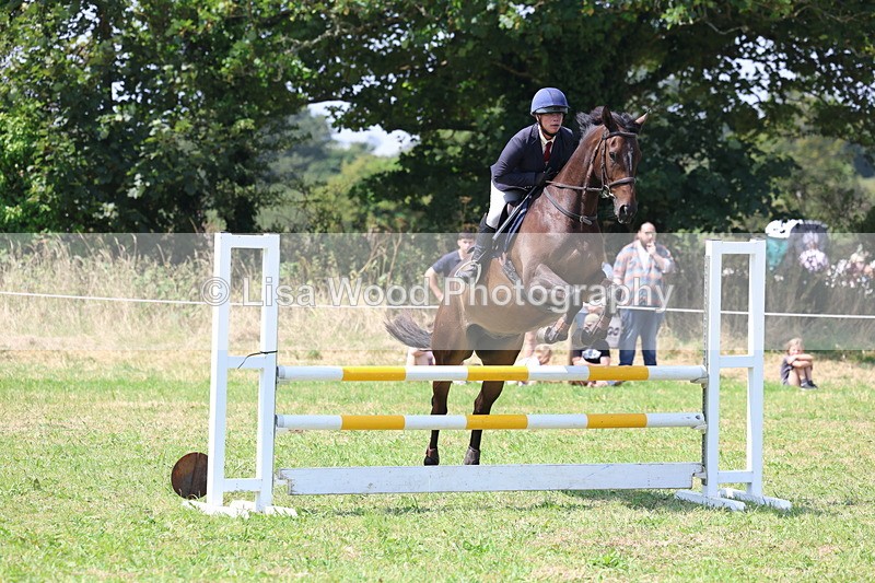 3E7A2954 - Class 7: Senior British Novice/90cm open