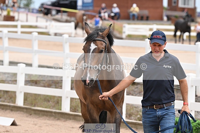 250716-144157-01324 - Trot Up 2.30 to 3.30