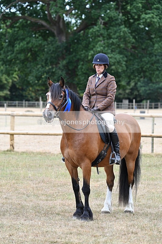 WJ7_0707 - Class 6 Ridden Mountain and Moorland