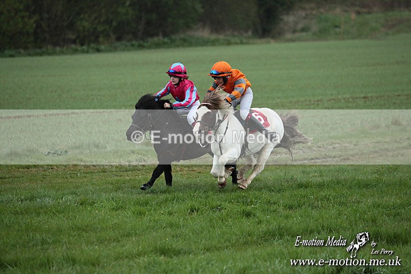 SHETPR 210425 81 - Shetland Ponies Paxford Races 21/04/25