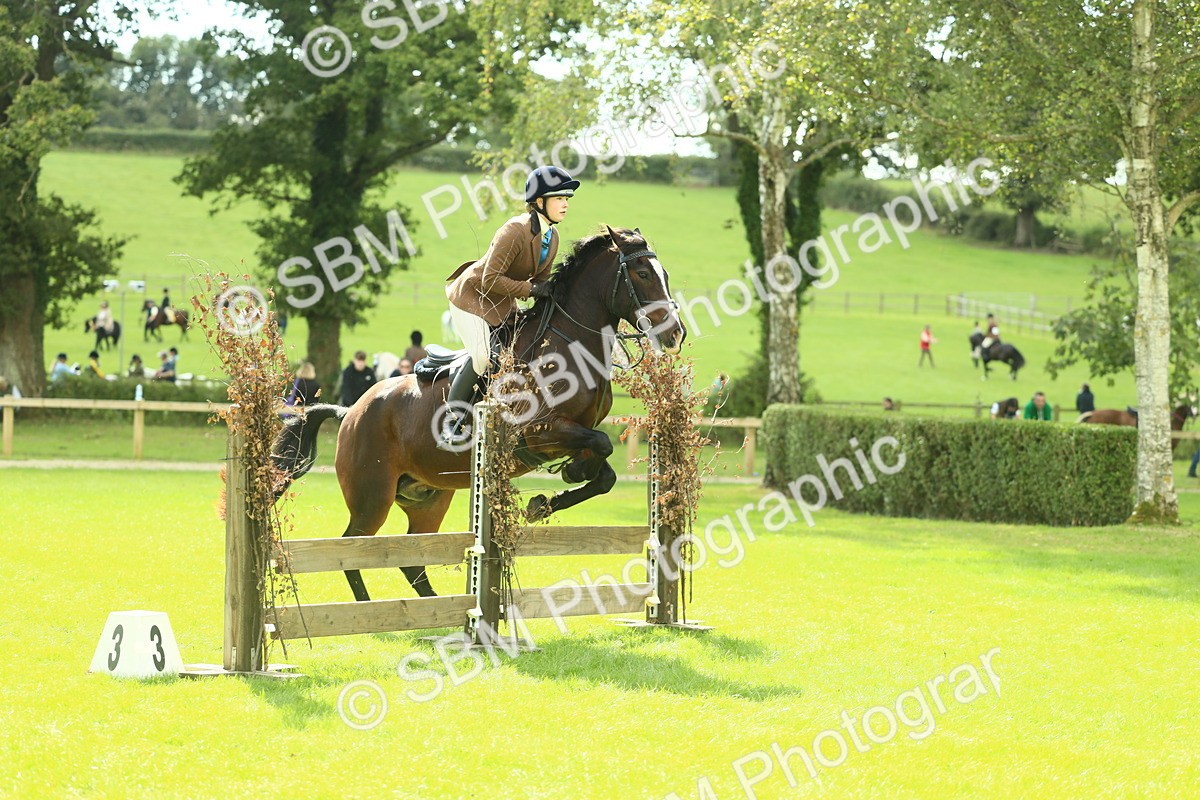 SBM_43004 - S30 - M&M Working hunter Pony