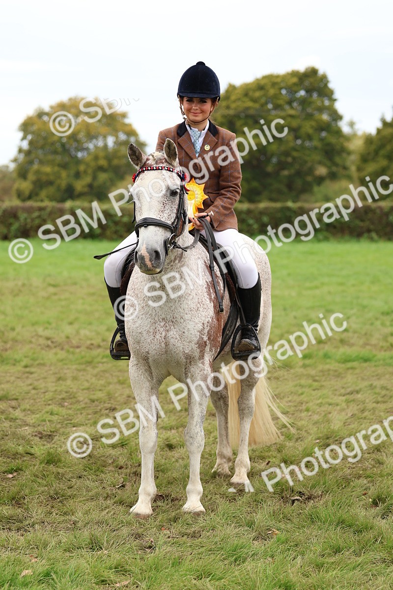 SBM_64677 - S58 - Coloured Pony Ridden