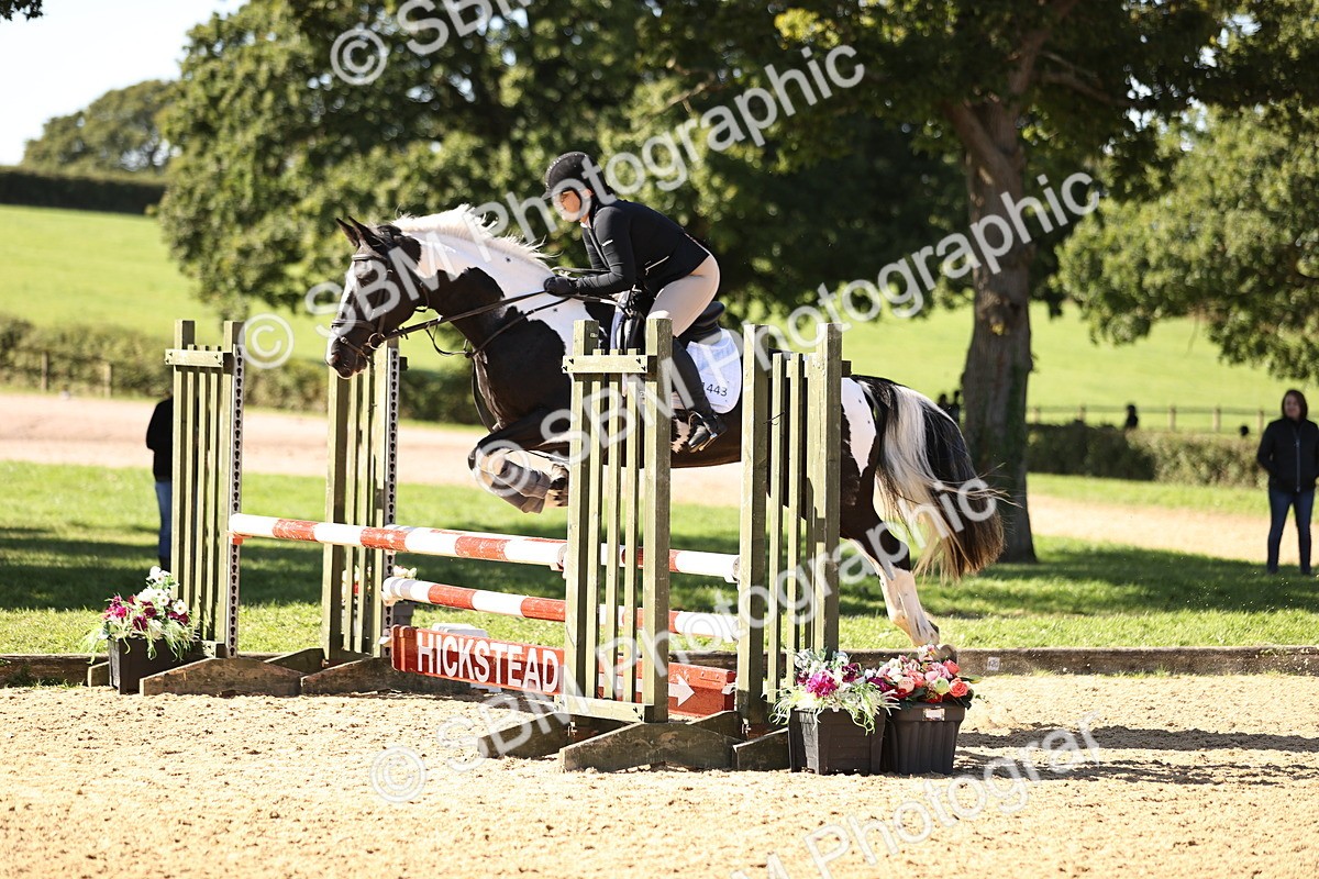 SBM_38400 - J39 - Senior 85cm Championship