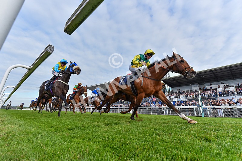 040526-Race 8-Coolree-7669 - Race 8