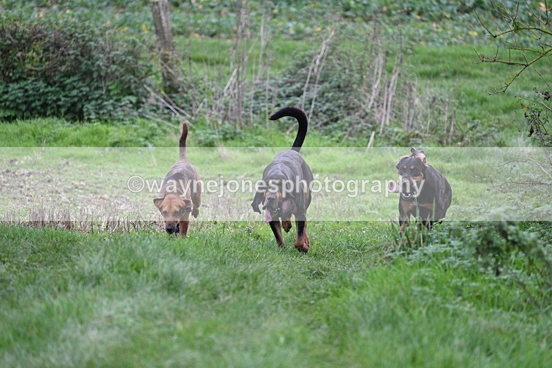 WJ7_8893 - Camera 1 only on this line