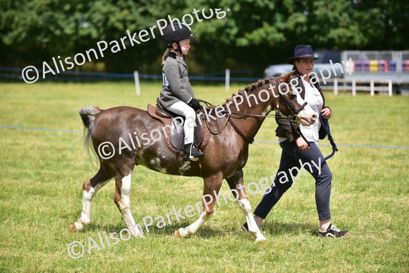 20260614-1363 - Class 11b - Lead Rein Pony (Plaited)