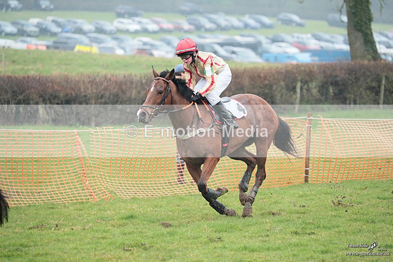 PtP 100324 350 - Pytchley with Woodland Point-to-Point Guilsborough 10/03/24