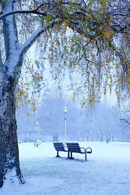  - Landscapes = 'Bedford in the Snow'
