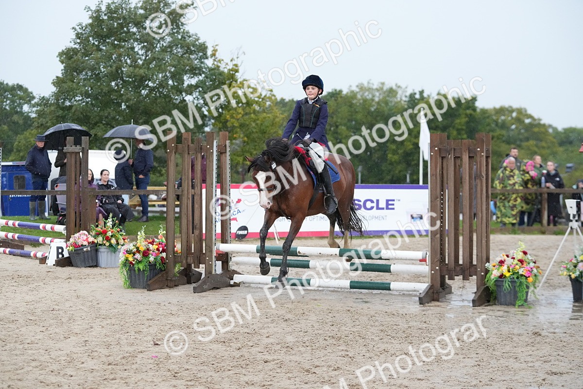 SBM_34037 - J5 - Junior Pony 50cm Championship
