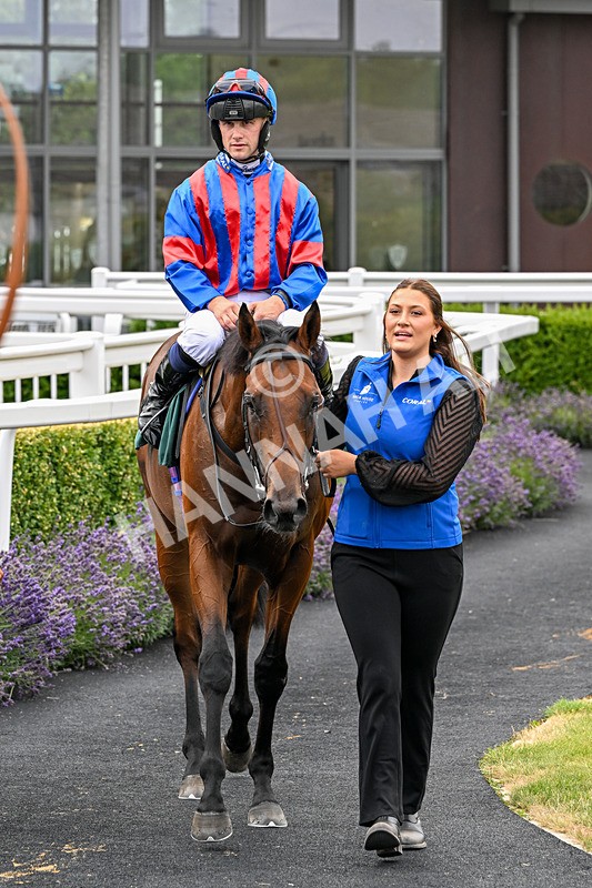 220726-Race 2-Koodini-9067 - Race 2 14.37pm Try Racing TV For Free Now Nursery Handicap
