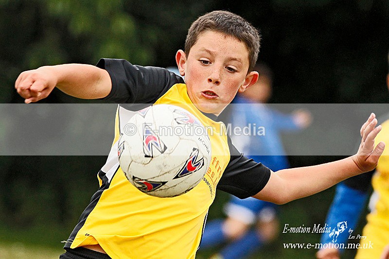 _LES8767p - Pitch Action