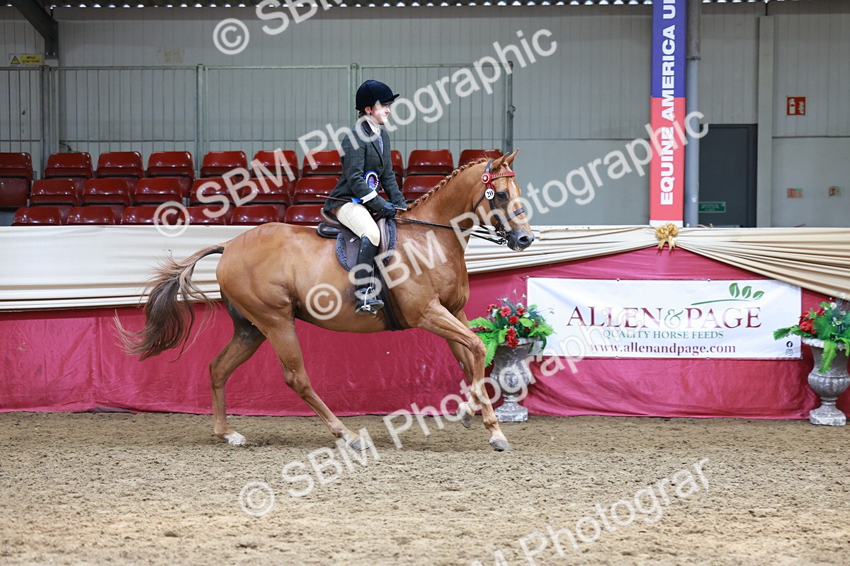 SBM_15000 - Class 108 - Ridden Retired Racehorse