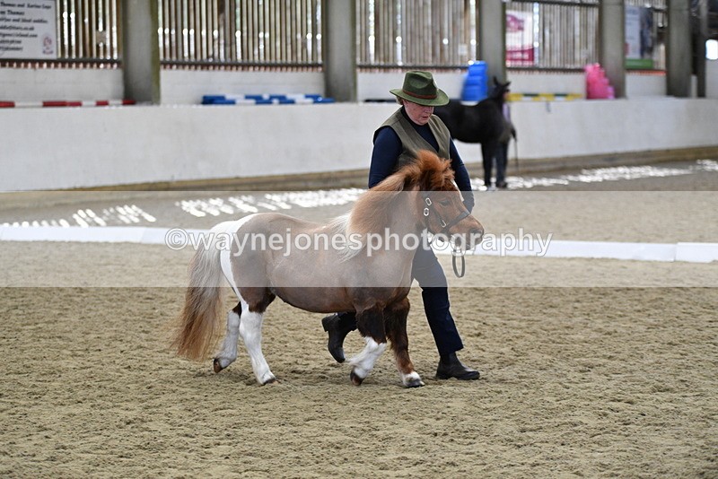 WJ5_4870 - Class 7 In hand coloured / odd coloured