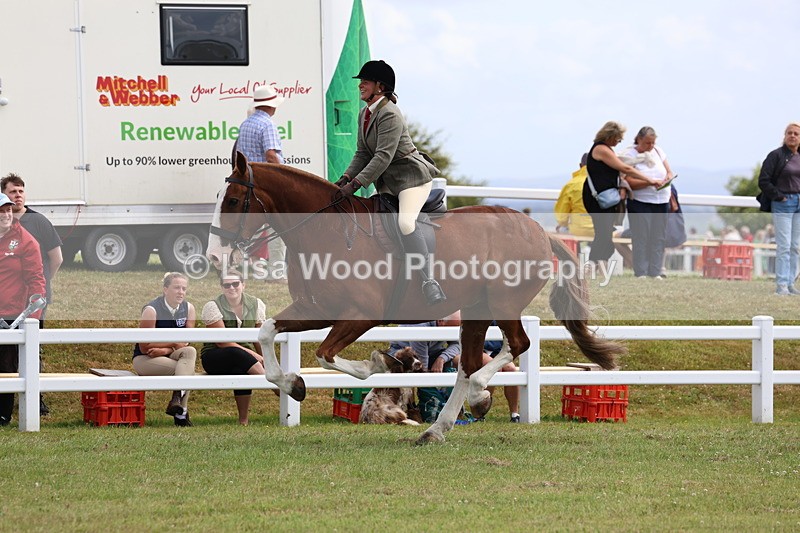 3E7A0599 - Rising Star Ridden Championship