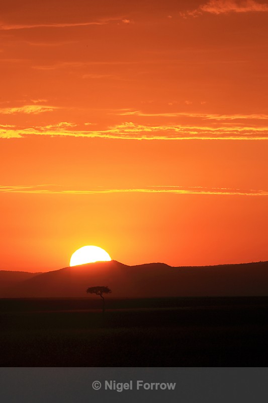 Sunrise over the Masai Mara - Kenya