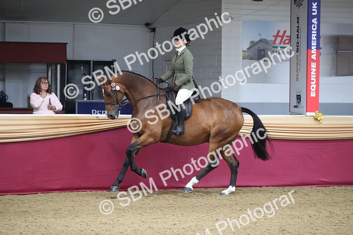 SBM_10432 - Class 102 Equitation (best rider) Adult