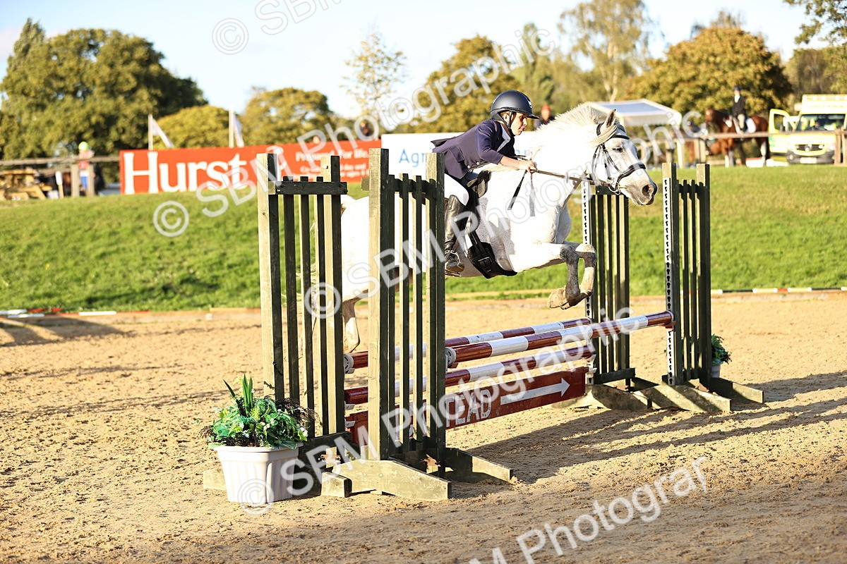 SBM_54291 - Supreme Championship 70cm 75cm