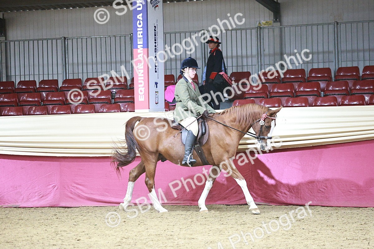 SBM_07983 - Class 11R - Regional Ridden Veteran