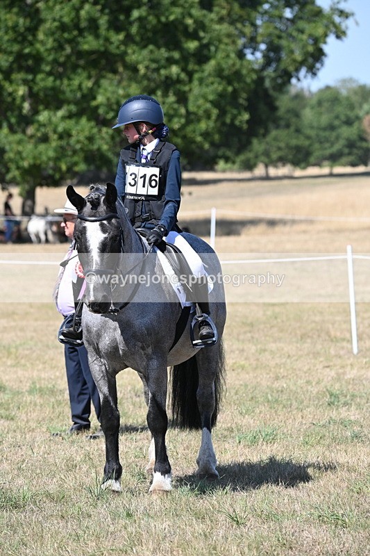 WJ6_9228 - Championship Classes 33-38