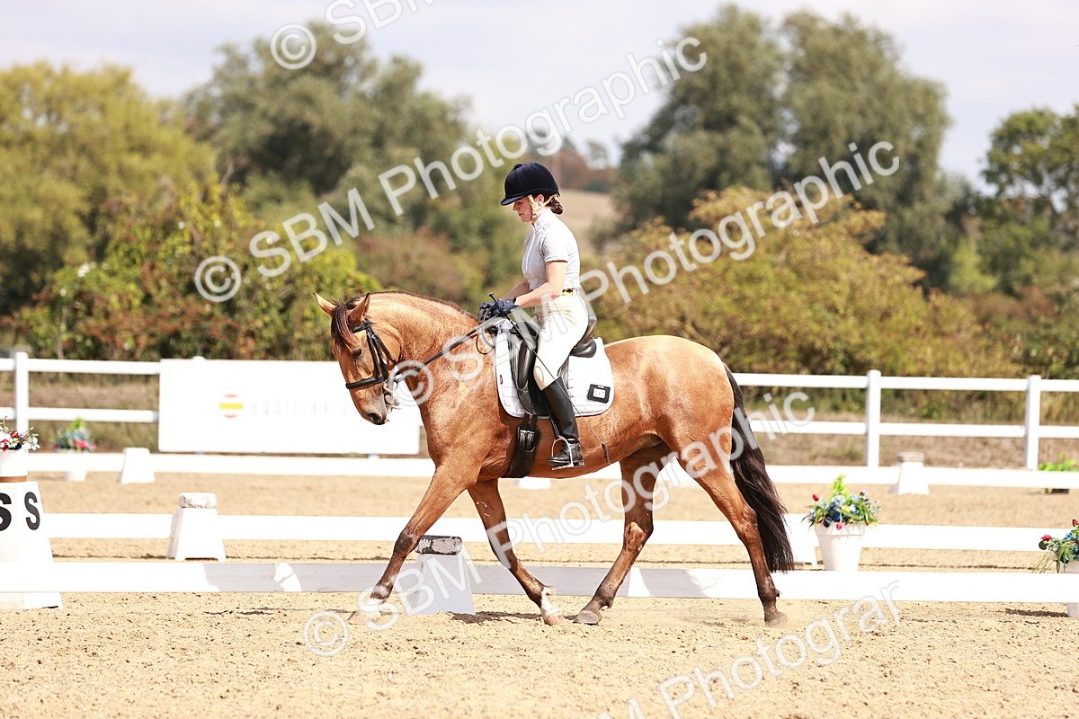 SBM_018560 - Class 17 - Novice 6