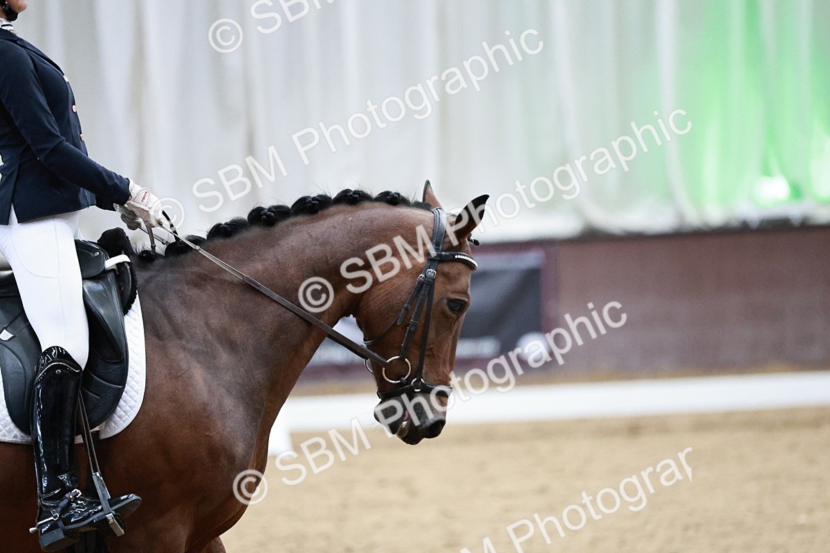 SBM_014323 - Class 7 - Ele FSM Bronze  13.24.14.04
