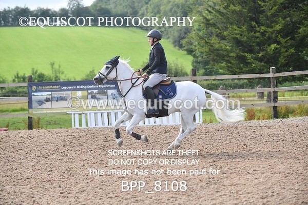 BPP_8108 - CLASS 11 SUN  Club/ Unaffiliated 60cms Open