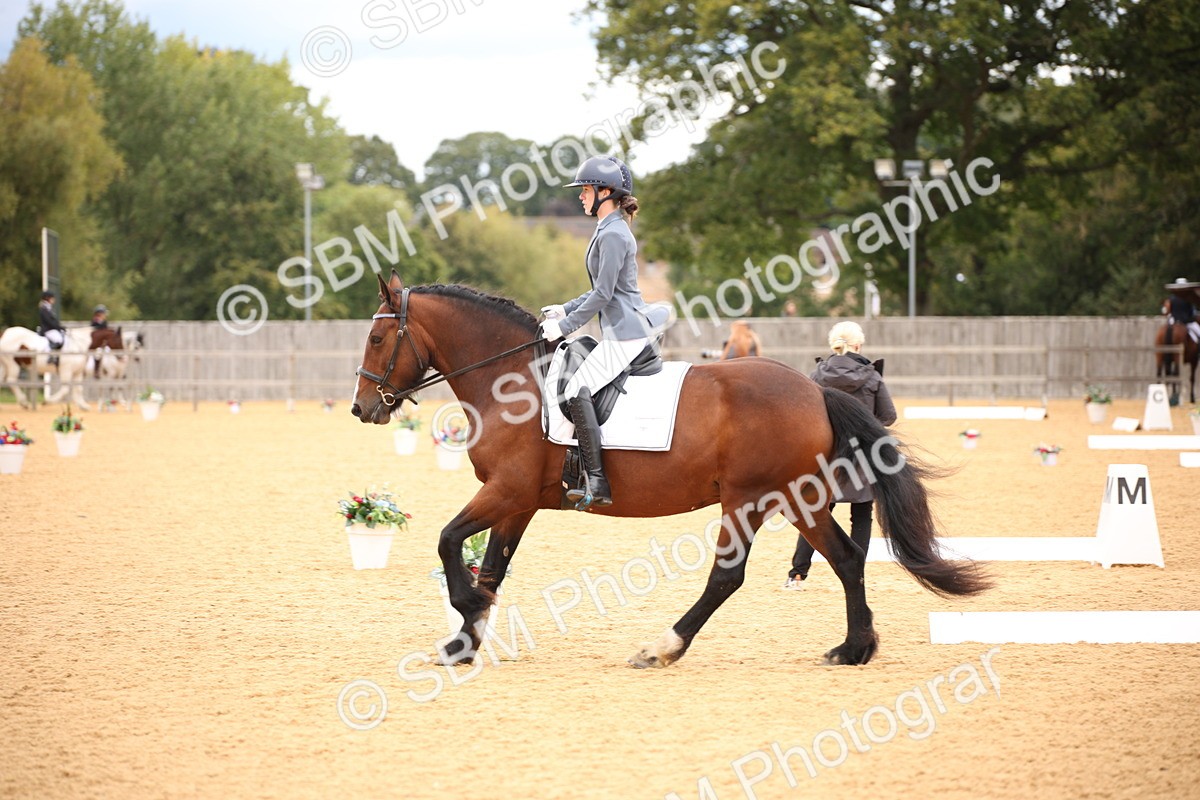 SBM_09117 - D8 Small Tour Championship Prelim 7