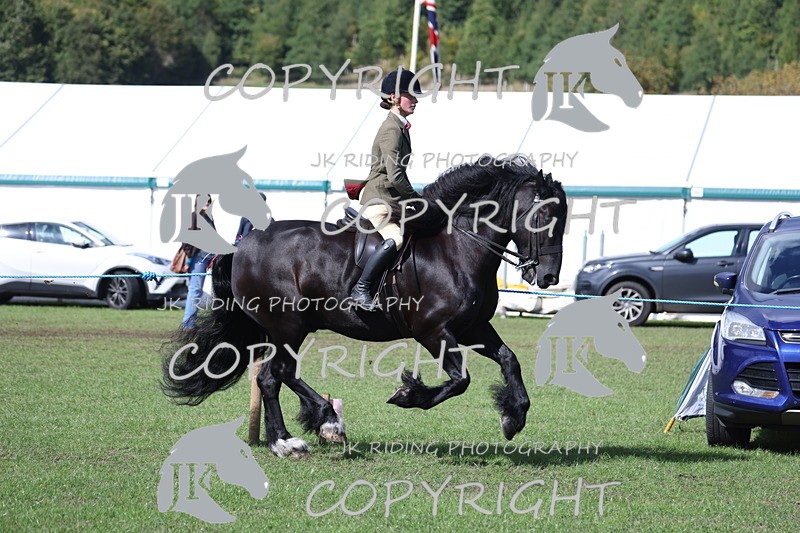 APP_3541 - Class 12 M&M ridden