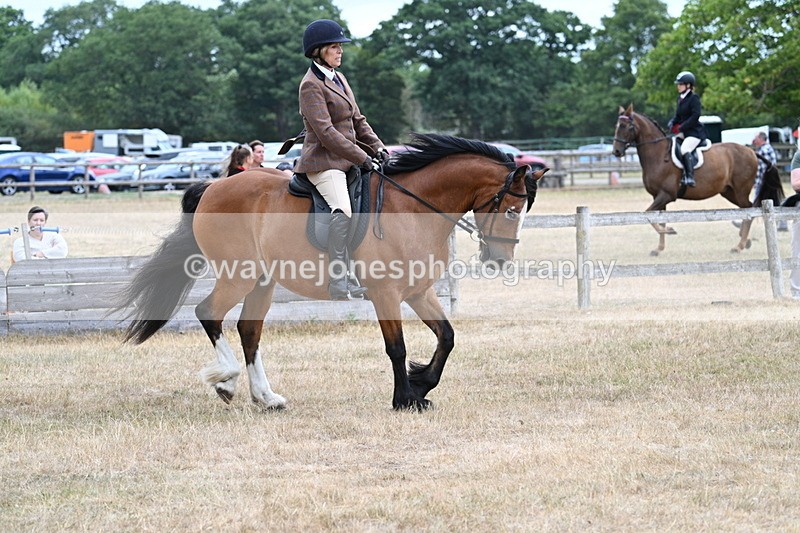 WJ7_0558 - Class 6 Ridden Mountain and Moorland