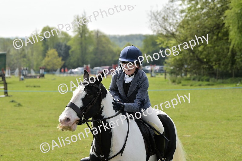 20260426-2280 - Class 20 - Beginner Working Hunter